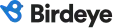 logo_birdeye